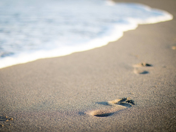 Come trovare la propria vocazione